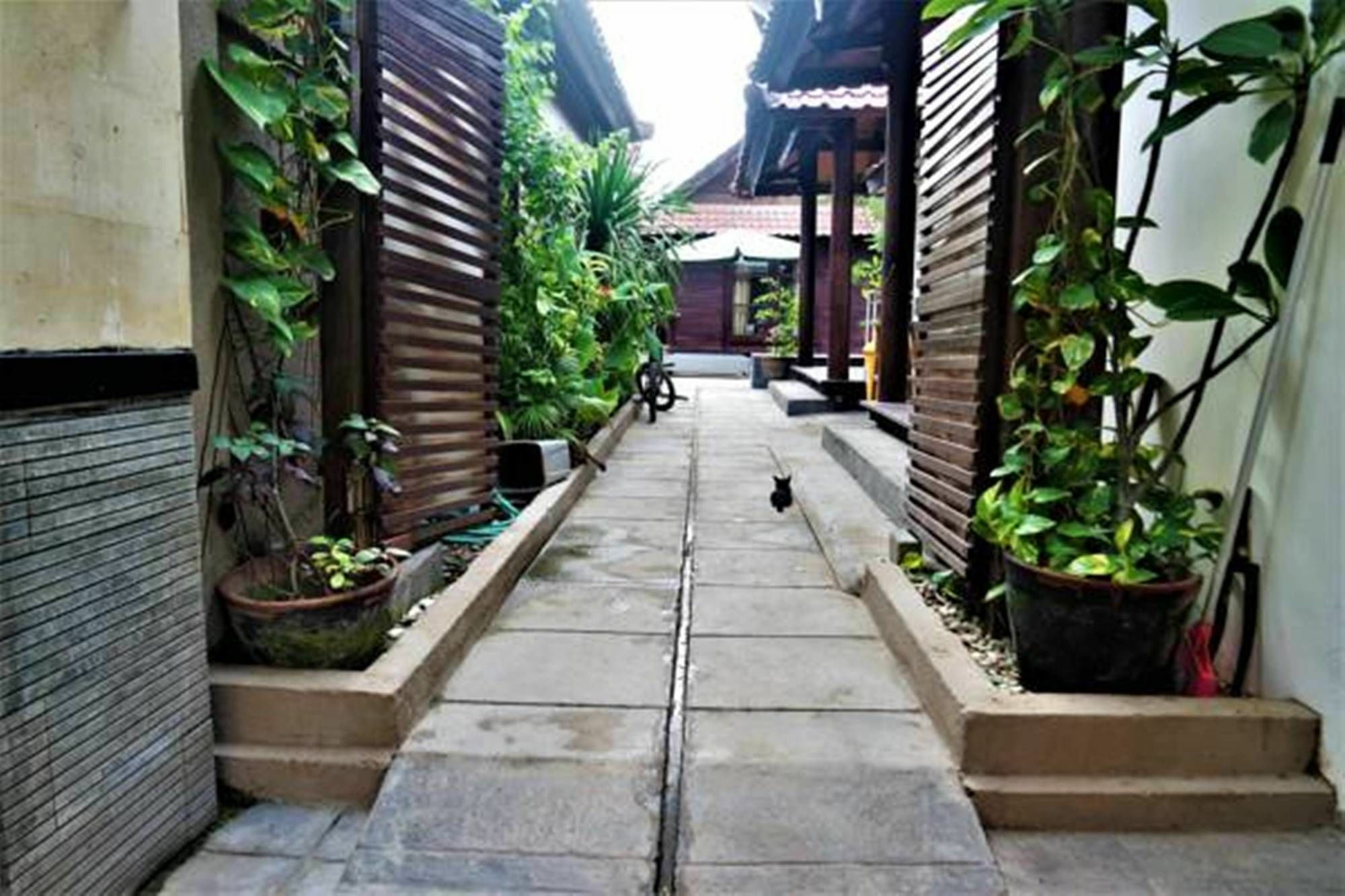 Drupadi Bungalows ギリ・トラワンガン エクステリア 写真